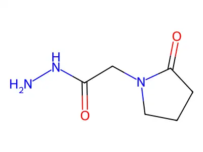 Piracetam hydrazide structure