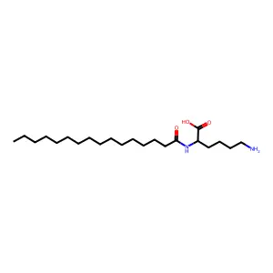 N2-(1-oxohexadecyl)-L-lysine structure
