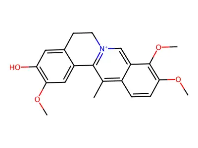 Dehydrocorybulbine structure