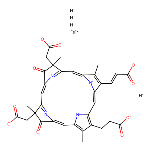 Heme d1 structure