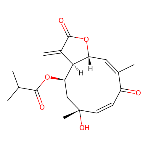 Tagitinim C structure