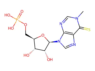Poly(1-methyl-6-thioinosinic acid) structure