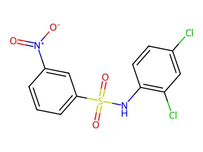 N-(2,4-dichlorophenyl)-3-nitrobenzenesulfonamide structure