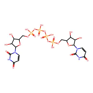 Diquafosol structure