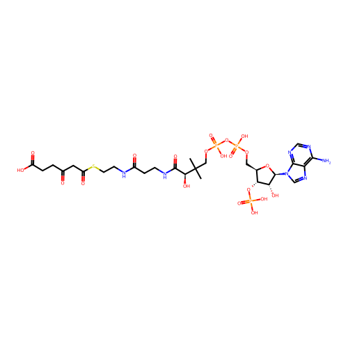 3-oxoadipyl-CoA structure
