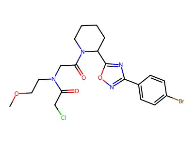 N-[2-[2-[3-(4-bromophenyl)-1,2,4-oxadiazol-5-yl]piperidin-1-yl]-2-oxoethyl]-2-chloro-N-(2-methoxyethyl)acetamide structure