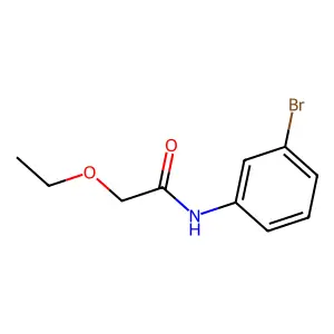 N-(3-bromophenyl)-2-ethoxyacetamide structure