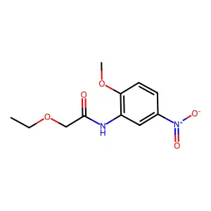2-ethoxy-N-(2-methoxy-5-nitrophenyl)acetamide structure