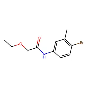 N-(4-bromo-3-methylphenyl)-2-ethoxyacetamide structure