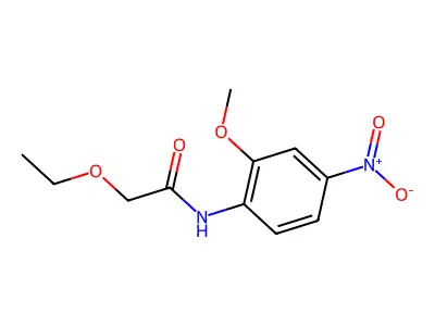 2-ethoxy-N-(2-methoxy-4-nitrophenyl)acetamide structure