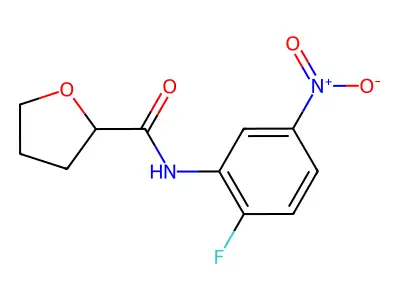 N-(2-fluoro-5-nitrophenyl)oxolane-2-carboxamide structure