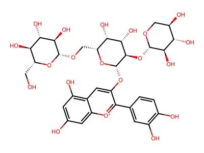 cyanidin 3-O-(6-O-glucosyl-2-O-xylosylgalactoside) structure