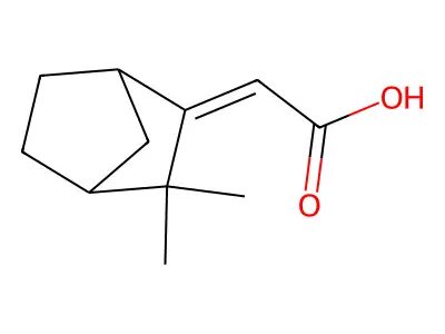 2-(3,3-Dimethyl-2-bicyclo[2.2.1]heptanylidene)acetic acid structure