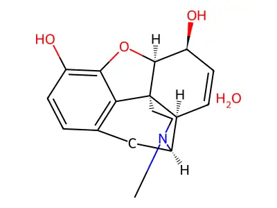 17-Methyl-7,8-didehydro-4,5-epoxymorphinan-3,6-diol--water (1/1) structure
