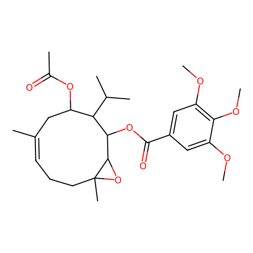 Involucrin structure