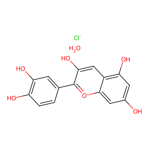 Gastrotelos structure