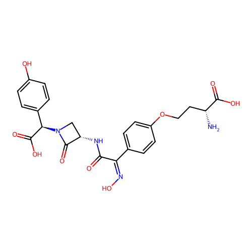 Nocardicin A structure
