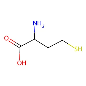 L-Homocysteine structure