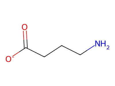 gamma-Aminobutyrate structure