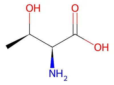 BIM-0041140.P001 structure