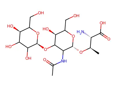 T Epitope, Threonyl structure