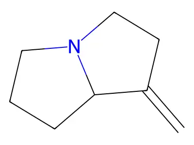 1-Methylenepyrrolizidine structure