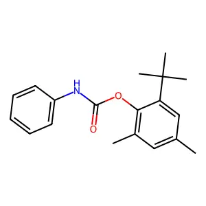2-Tert-butyl-4,6-dimethylphenyl phenylcarbamate structure