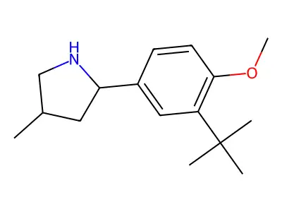 2-(3-(tert-Butyl)-4-methoxyphenyl)-4-methylpyrrolidine structure
