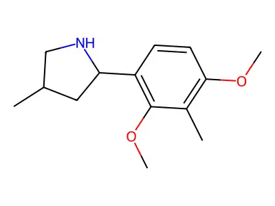 2-(2,4-Dimethoxy-3-methylphenyl)-4-methylpyrrolidine structure