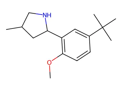 2-(5-(tert-Butyl)-2-methoxyphenyl)-4-methylpyrrolidine structure