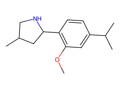 2-(4-Isopropyl-2-methoxyphenyl)-4-methylpyrrolidine structure