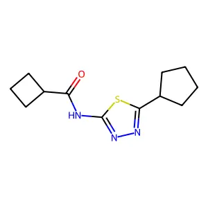 N-(5-cyclopentyl-1,3,4-thiadiazol-2-yl)cyclobutanecarboxamide structure