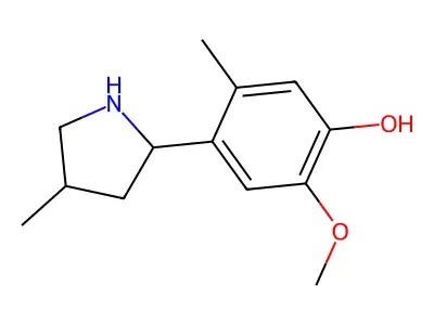 2-Methoxy-5-methyl-4-(4-methylpyrrolidin-2-yl)phenol structure