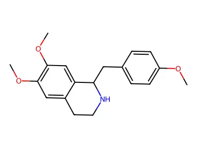 GS 389 structure