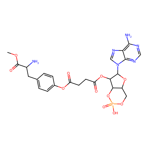ScAMP-TME structure