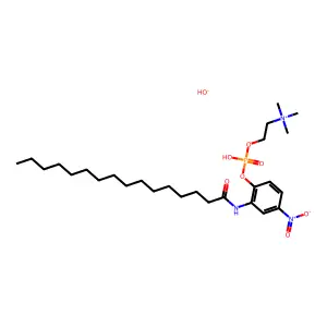 HDANPPcholine structure