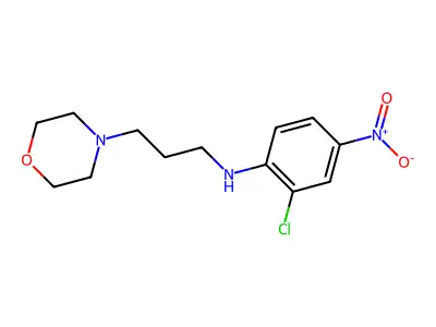 (2-Chloro-4-nitrophenyl)(3-morpholin-4-ylpropyl)amine structure