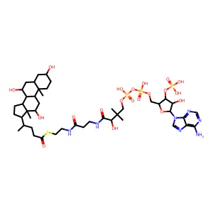 choloyl-CoA structure
