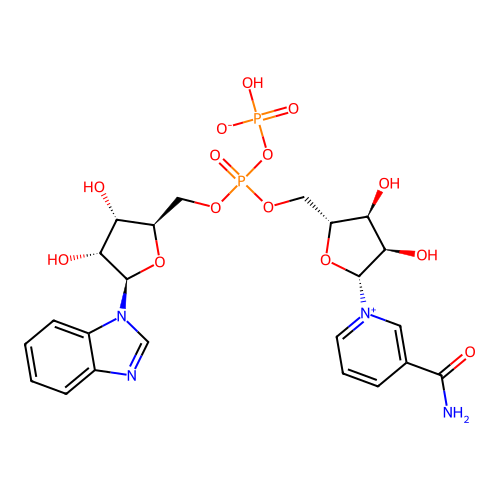 Nicotinamide-benzimidazole dinucleotide structure