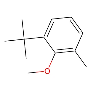 Benzene, 1-(1,1-dimethylethyl)-2-methoxy-3-methyl- structure
