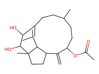 Pyrazolopyrimidin structure