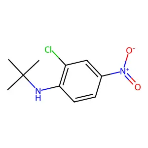 N-tert-butyl-2-chloro-4-nitroaniline structure