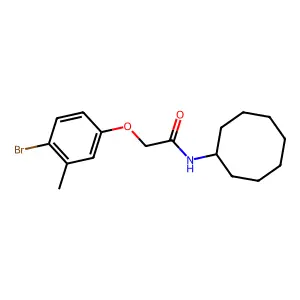 2-(4-bromo-3-methylphenoxy)-N-cyclooctylacetamide structure