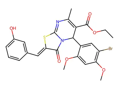 BIM-0014622.P001 structure