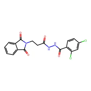 2,4-dichloro-N'-(3-(1,3-dioxoisoindolin-2-yl)propanoyl)benzohydrazide structure