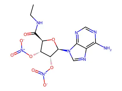 Dineca structure