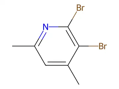 2,3-Dibromo-4,6-dimethylpyridine structure
