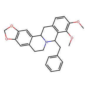 8-Benzylcanadine structure