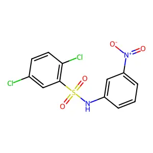 2,5-dichloro-N-(3-nitrophenyl)benzenesulfonamide structure