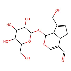 Tarennoside structure